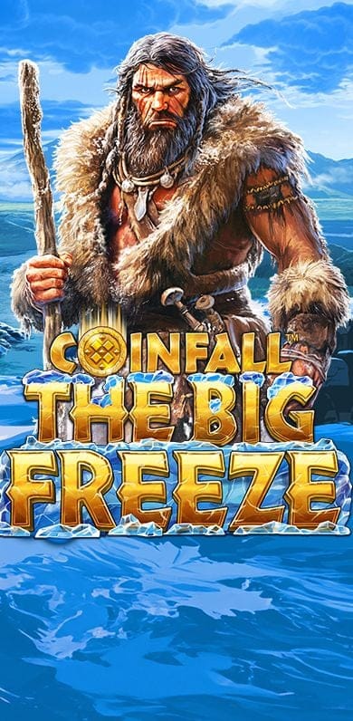 CoinFall: The Big Freeze in Sub_NewgamesBr
