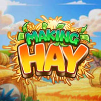 Making Hay in Other_Slots