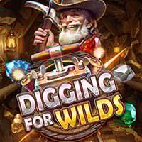 Digging for Wilds in Top12_MostPlayed