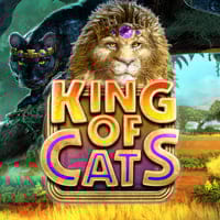 King Of Cats in Sub_Allgames