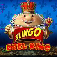 Slingo Reel King in Top12_MostPlayed