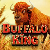 Buffalo King in Sub_HighMultiplier