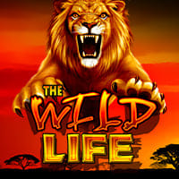 The Wild Life in Sub_IGTBr