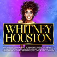 Whitney Houston in Sub_AllNewGames