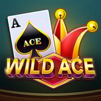 Wild Ace in Sub_Tada