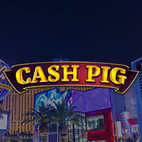 Cash Pig in Sub_Allgames