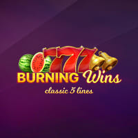 Burning Wins: classic 5 lines in Sub_Allgames