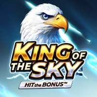 King of the Sky: Hit the Bonus in Sub_PlaysonHighlights