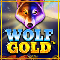 Wolf Gold in Sub_Rubyplay
