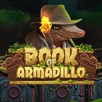 Book of Armadillo in Sub_Allgames